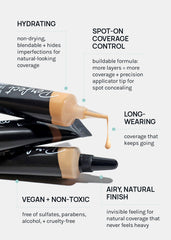 AOA Perfect Natural Finish Concealer