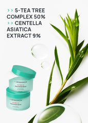 BRINGGREEN Tea Tree Cica Soothing Toner Pad