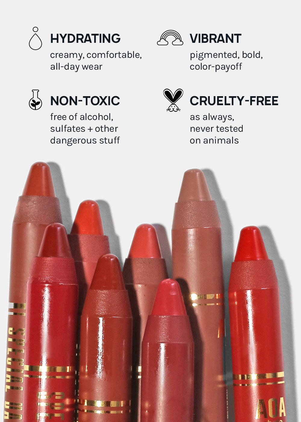 AOA Studio Special Day Lip Crayon