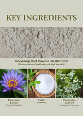 BRMUD Recovery Mud Peel Off Mask 110ml