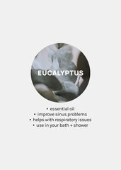 AOA 100% Essential Oils - Eucalyptus