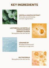 SKIN1004 Madagascar Centella Probio-Cica Enrich Cream 50ml